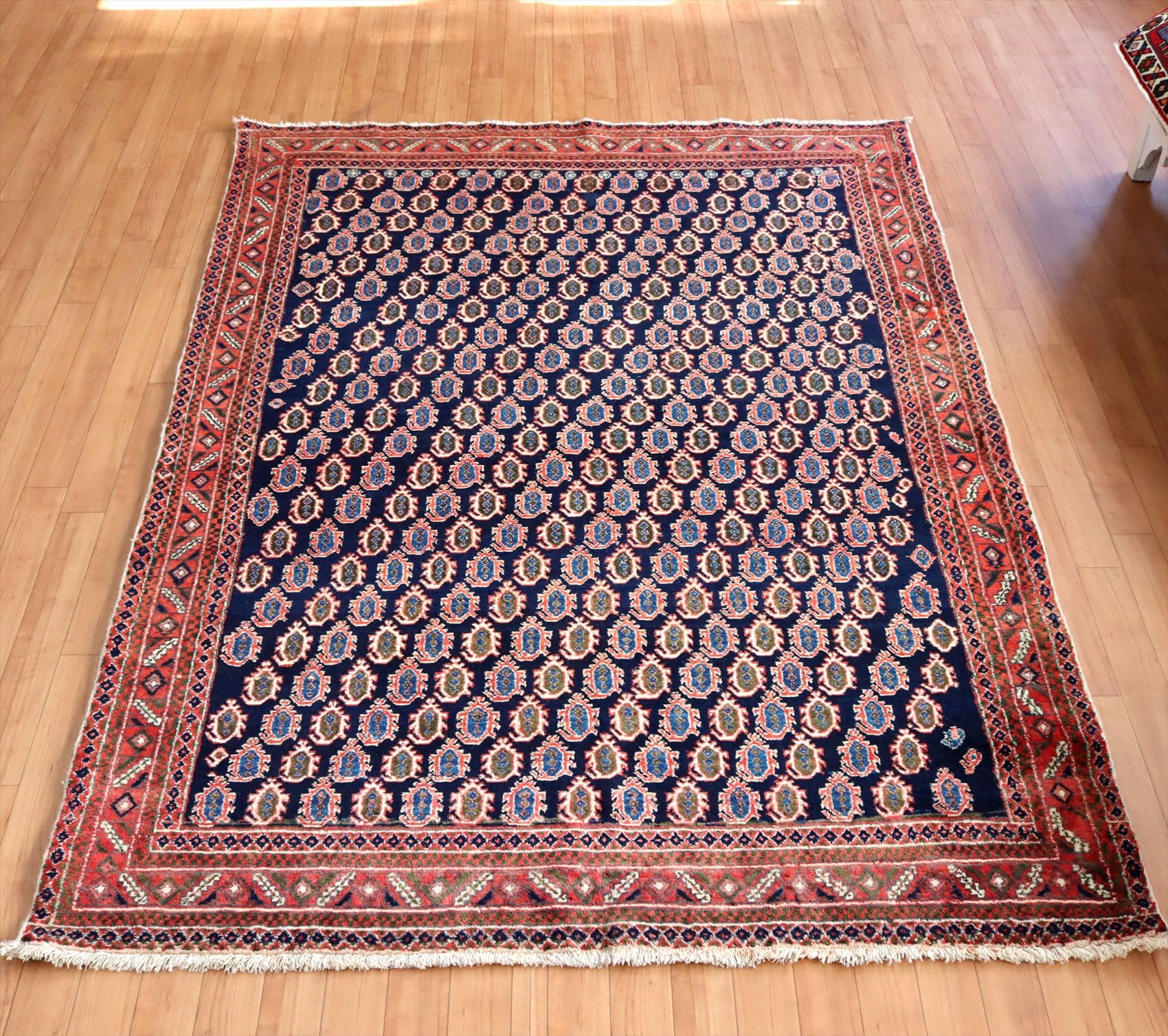 トライバルラグ シルジャン205×144cm 連なるボテのモチーフ